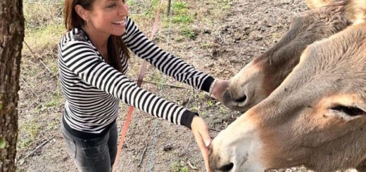 FB_IMG_1711098701735